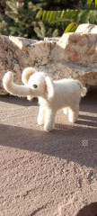 Needle felted Elephant 